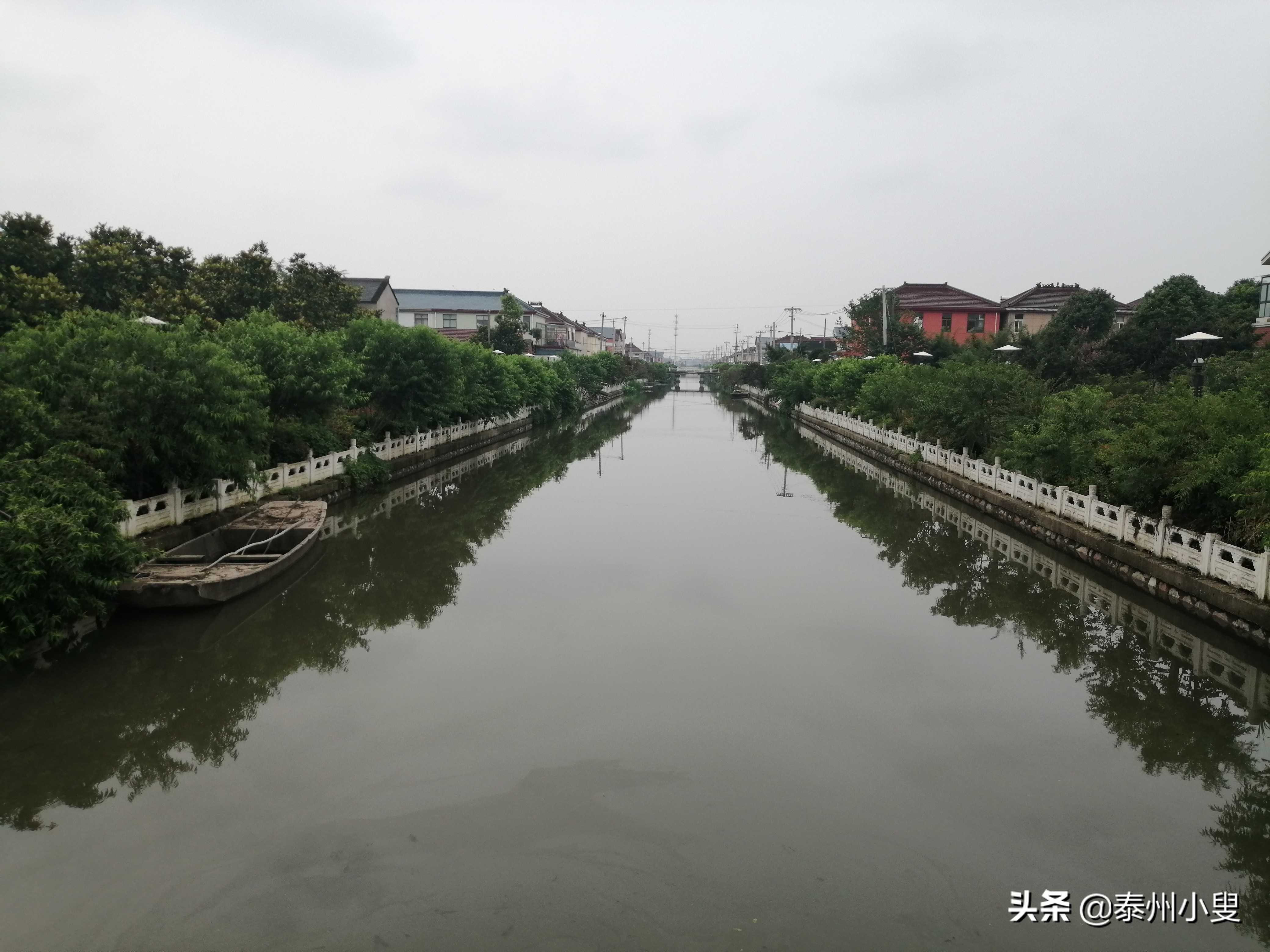 骑行槐林赏美景,骑行赏花视频