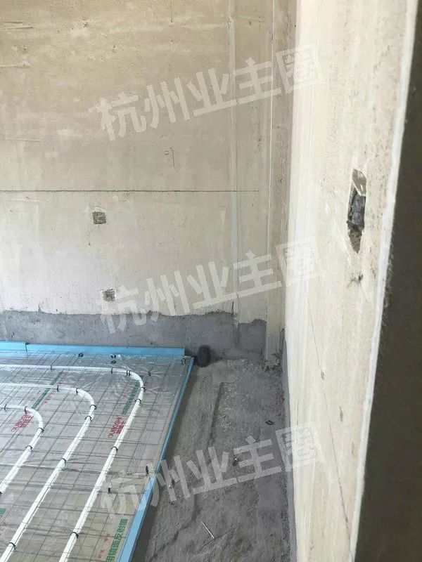 绿都什么意思,绿都包括哪些绿