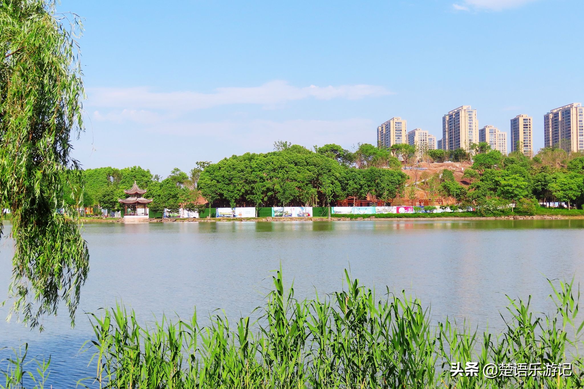 宁波奉化最好的公园,宁波奉化旅游景点推荐森林公园