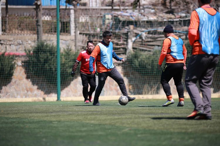 大连三鼎春天视频,大连三鼎春天怎么样