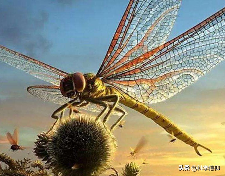 恐龙那么大为什么不是哺乳动物,恐龙为啥这么巨大而人类却这么小