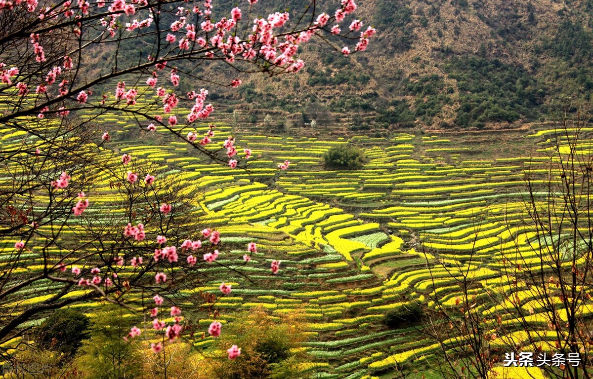 江西高楼第一县,江西赣南脐橙之乡