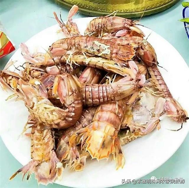 天津滨海新区吃海鲜渔村,天津滨海吃皮皮虾