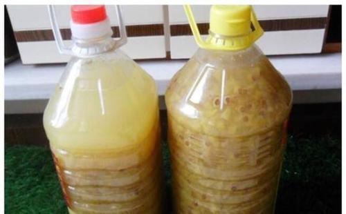 花不用肥买什么,有机肥和磷钾肥养花