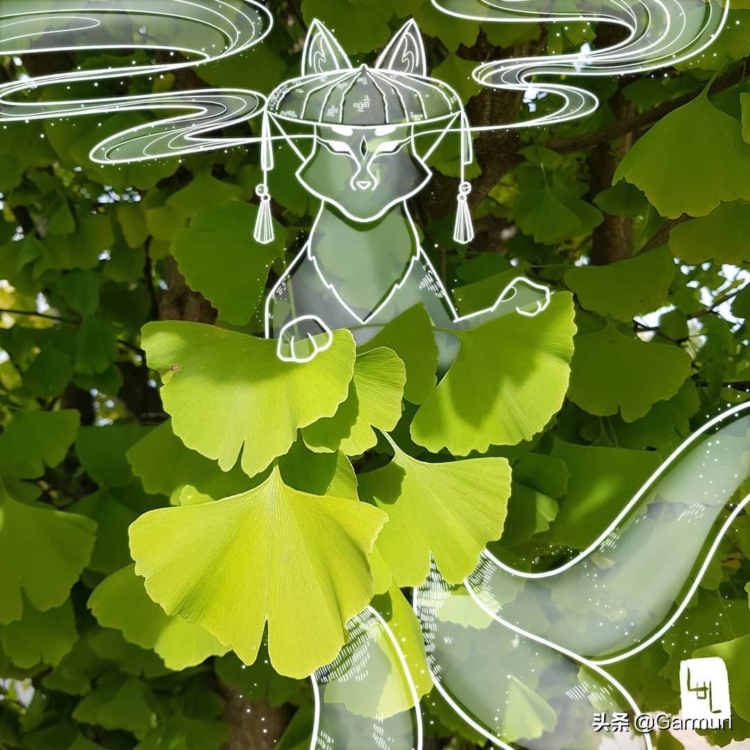 艺术|LulAlilalou看到的神奇世界