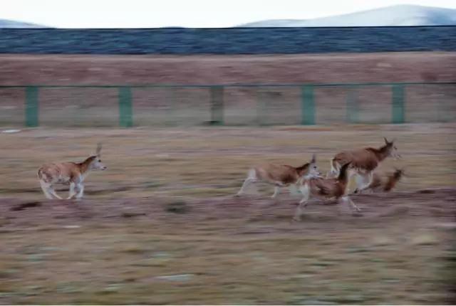 拍照模糊一招搞定,拍照模糊如何去掉