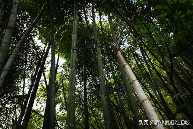 探秘山间古寺,探寻神秘的古寺