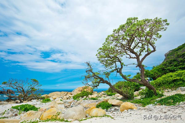 为什么三亚的大东海那么好,三亚最受游客欢迎的大东海