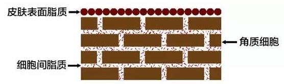 美容仪是智商税还是真的有效果,美容仪是智商税吗值得购买吗