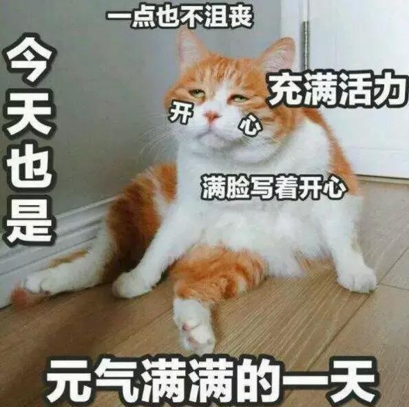 老外说you是什么意思,你知道gucci啥意思吗