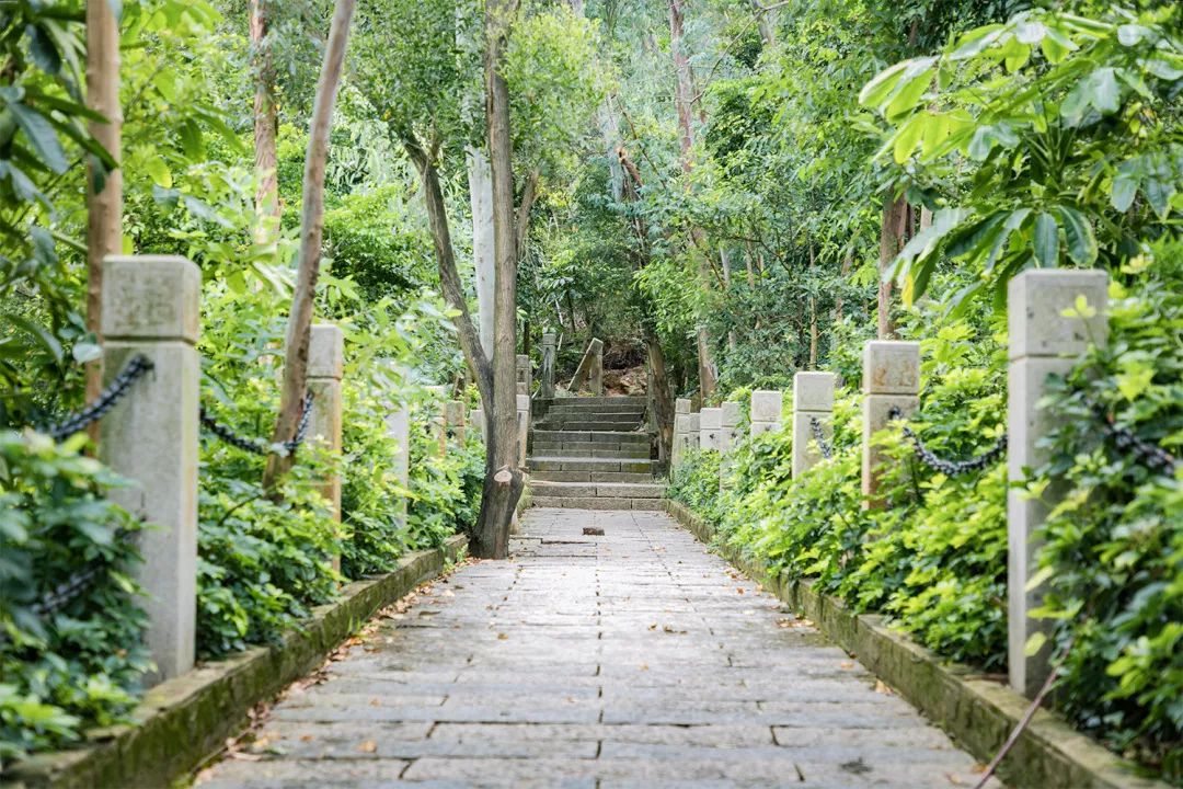 哪里叫南油,南油地铁站