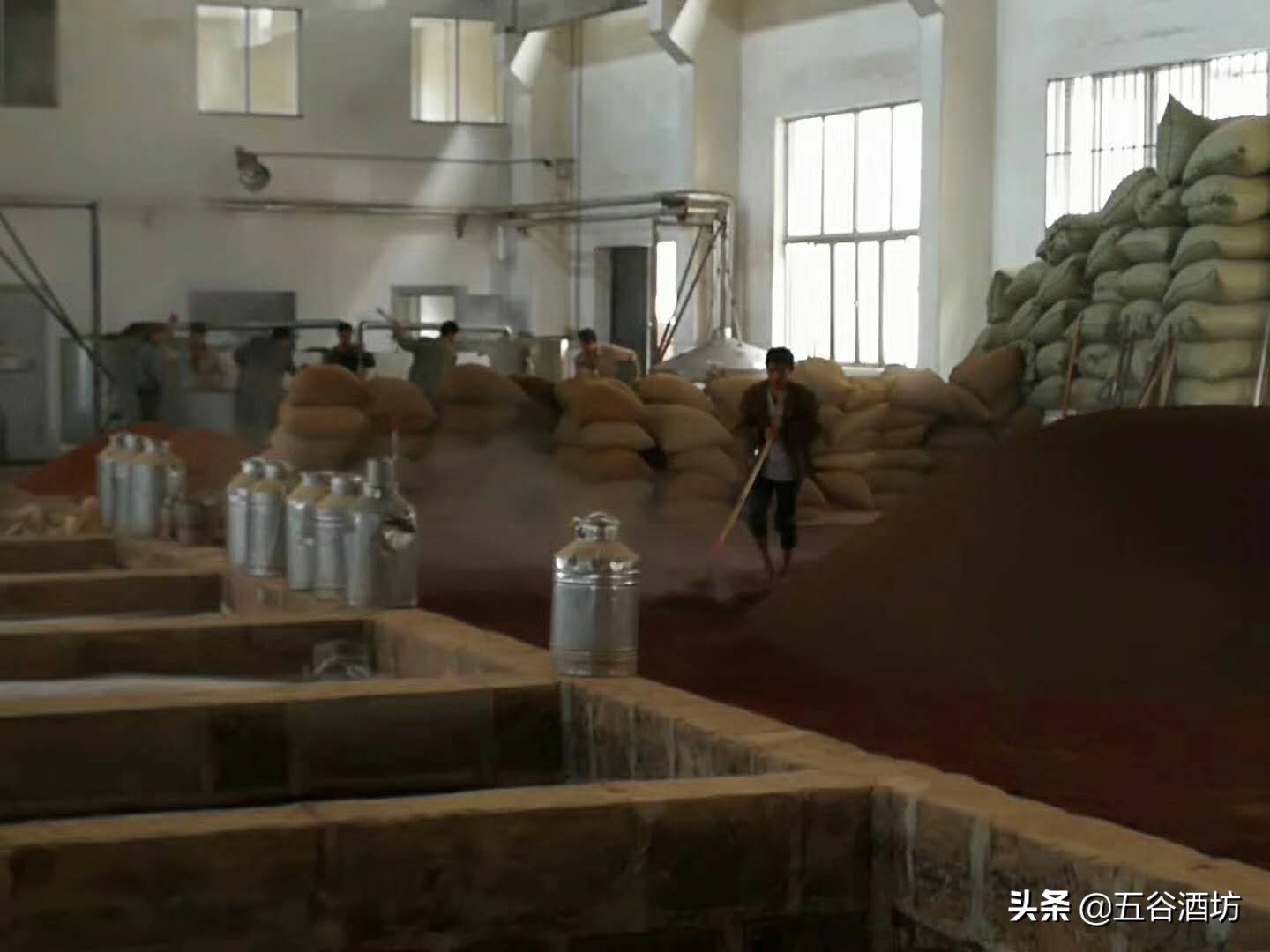 日常喝的5种白酒有哪些,关于白酒你应该知道这些事