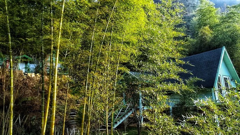 被称为中国小瑞士的地方,号称国内小瑞士