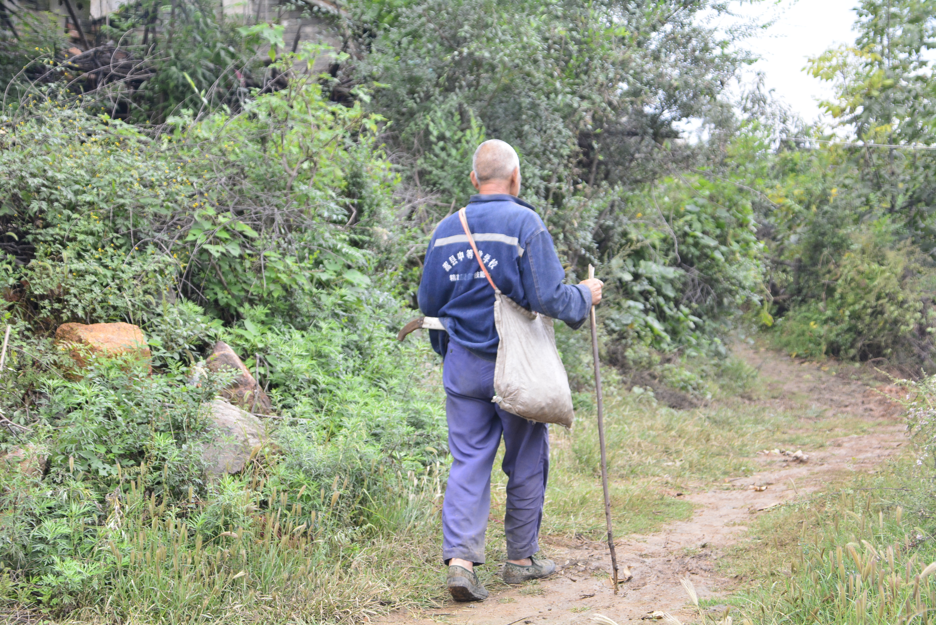 河南穷人的农村瓦房,河南老家穷人