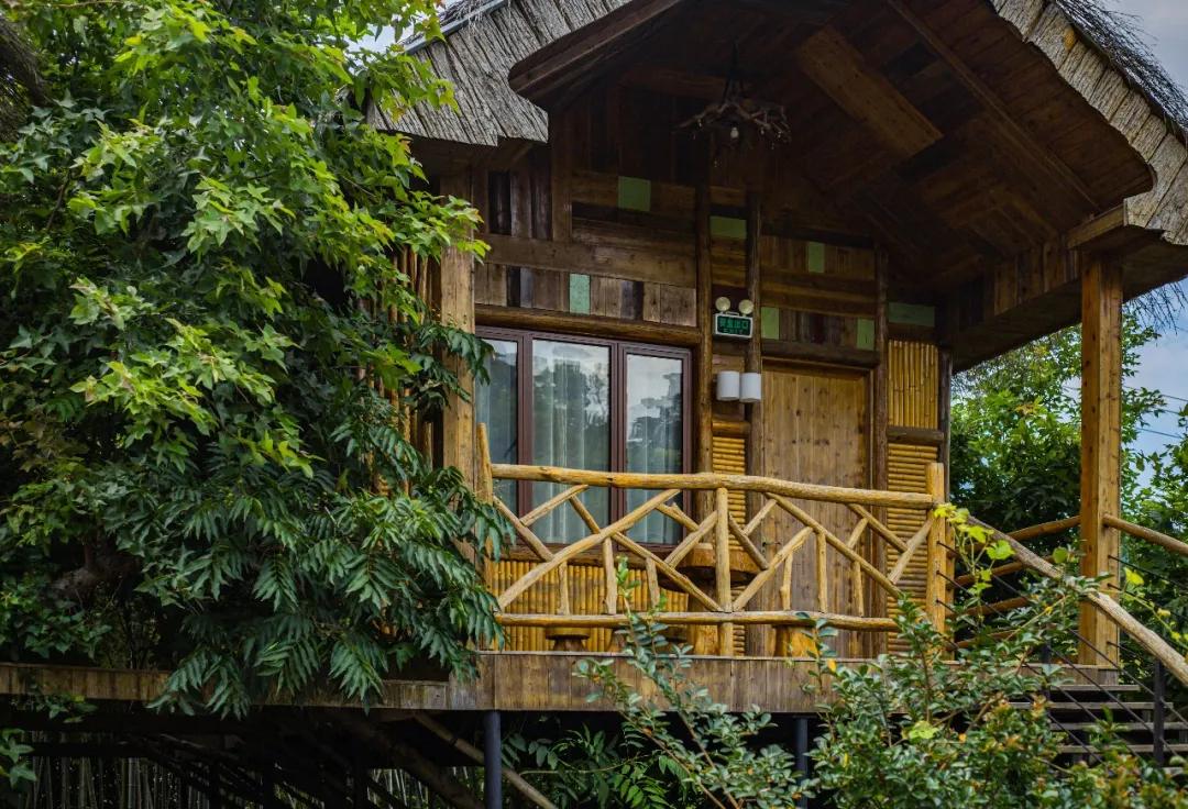 莫干山原木风绿野仙踪花园民宿,莫干山桃坡探险乐园绿野仙踪