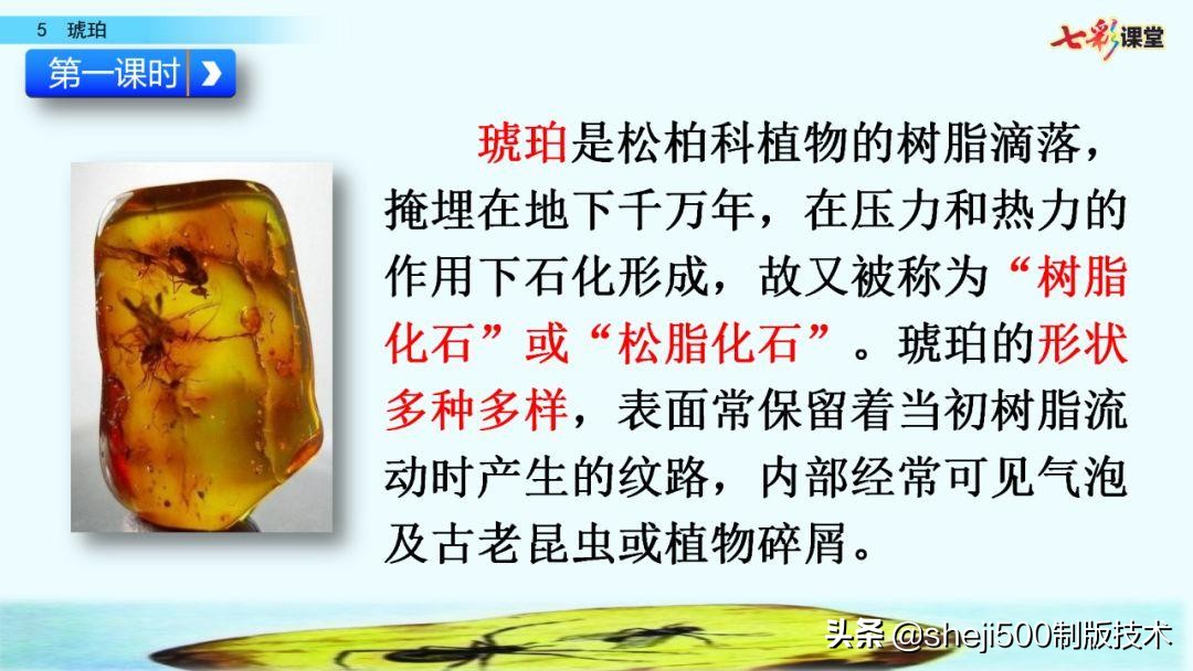 语文书四年级下册第5课琥珀预习,四年级下册第5课琥珀的思维导图