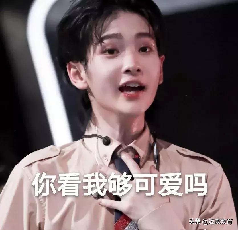 专转本专业课有必要去辅导班吗,专转本报辅导班有必要吗