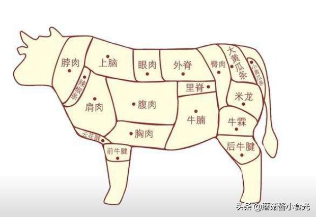 买牛肉的讲究,买牛肉要查哪些