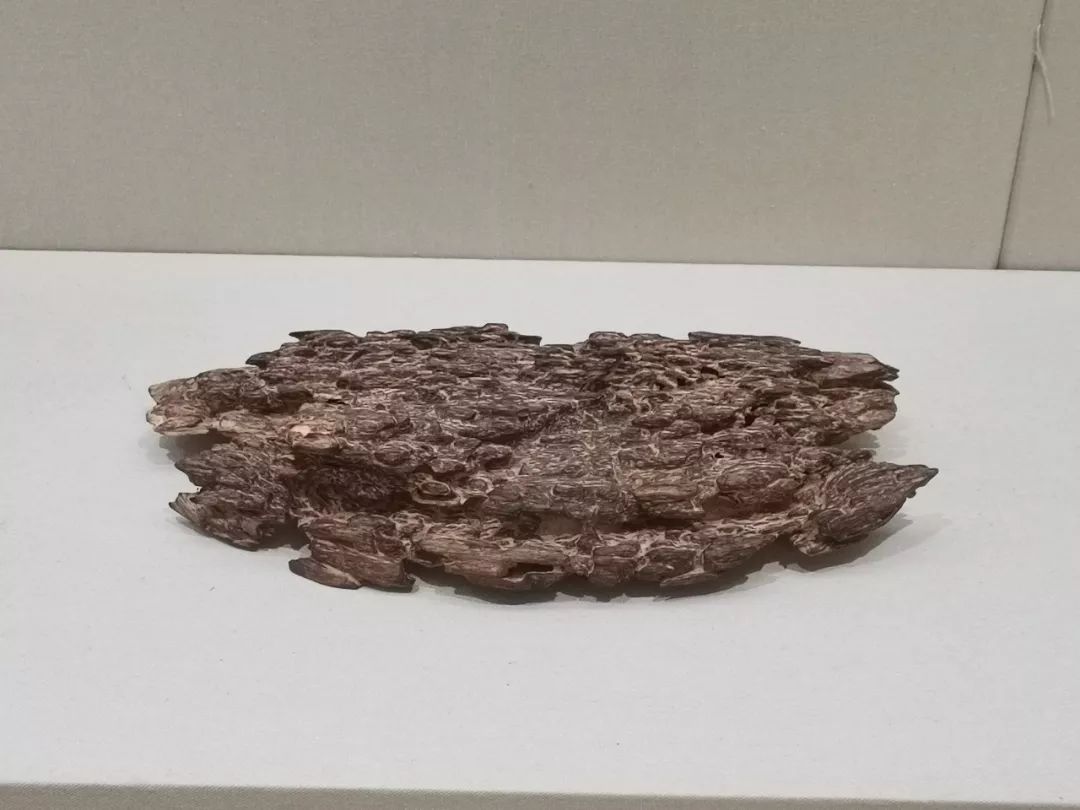 「无香的岭南」东莞之香