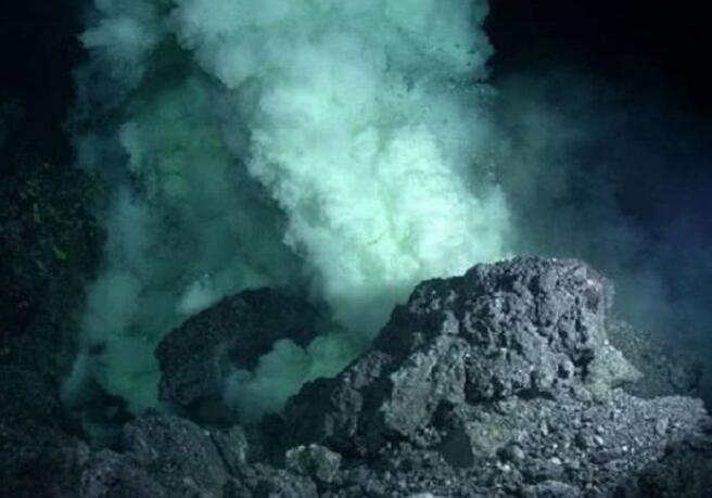 地球有史以来最大的蛇,地球上一千大最凶猛的蛇