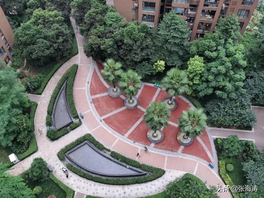 康德国会山业委会安监控,康德国会山业委会监控事件