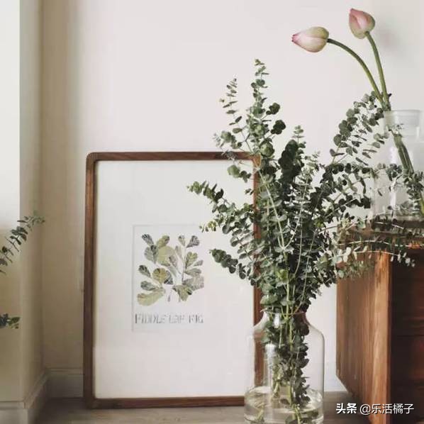 大叶尤加利插花,尤加利干花教程
