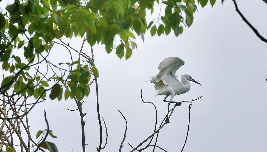 杭州旅游玻璃栈道漂流,杭州山清水秀大峡谷
