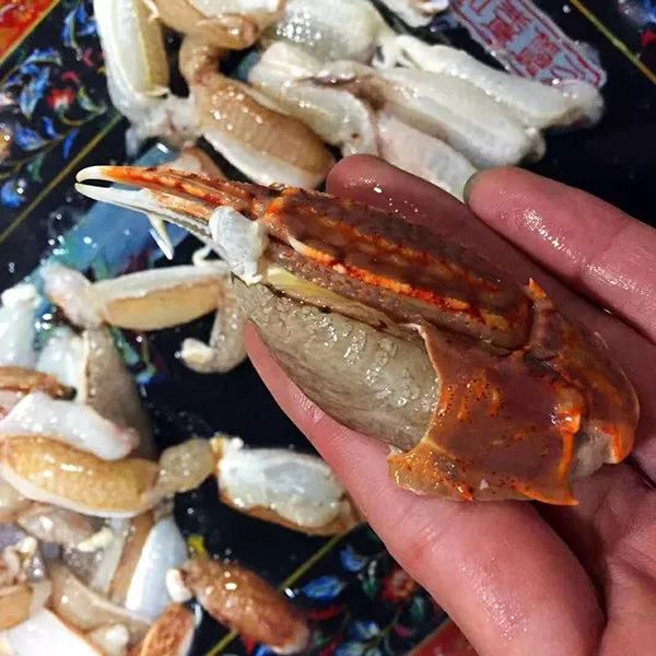 告别北上广：女白领朋友圈直播捕鱼，看了才知道什么是硬核海鲜