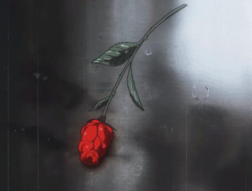 为什么你爱TA，却不相信TA？