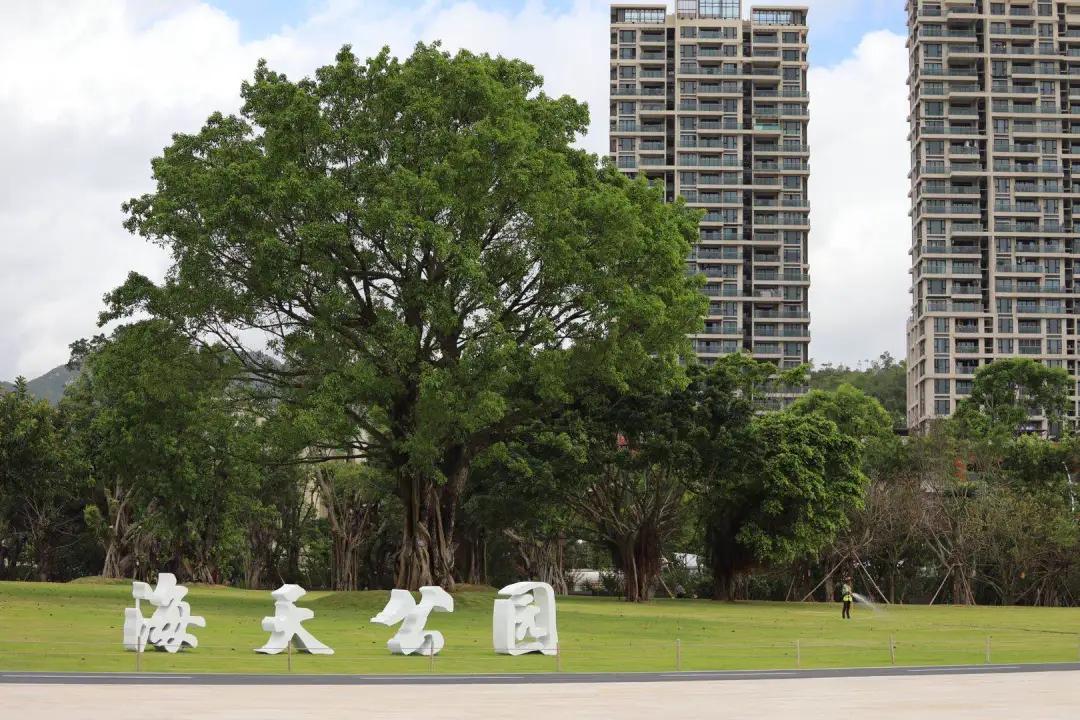 珠海买房过冬真实感受,在珠海买房十大秘诀