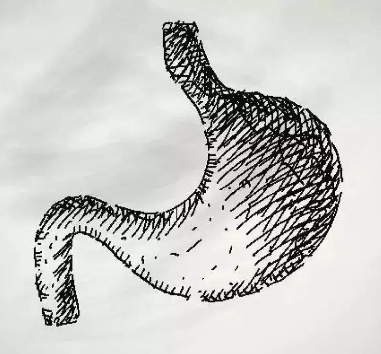 长期胃不好的十种原因,有这五个症状说明胃不健康