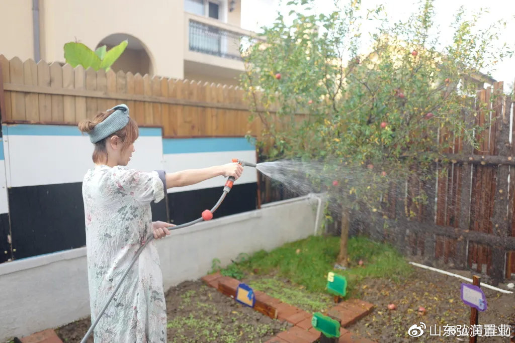 李子柒的城市视频,城市版的李子柒