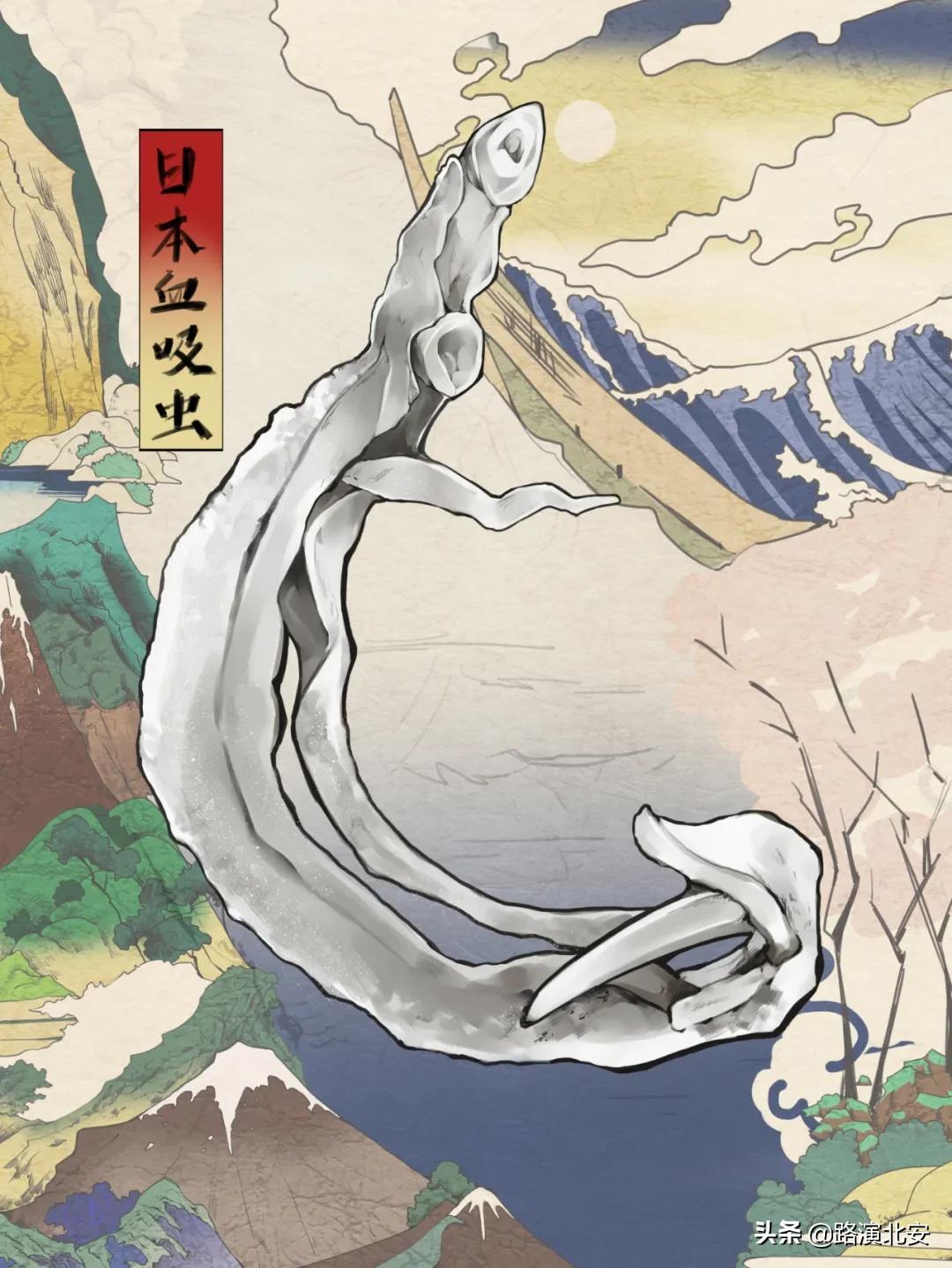 生命的故事绘本视频,生命的故事绘本绘画