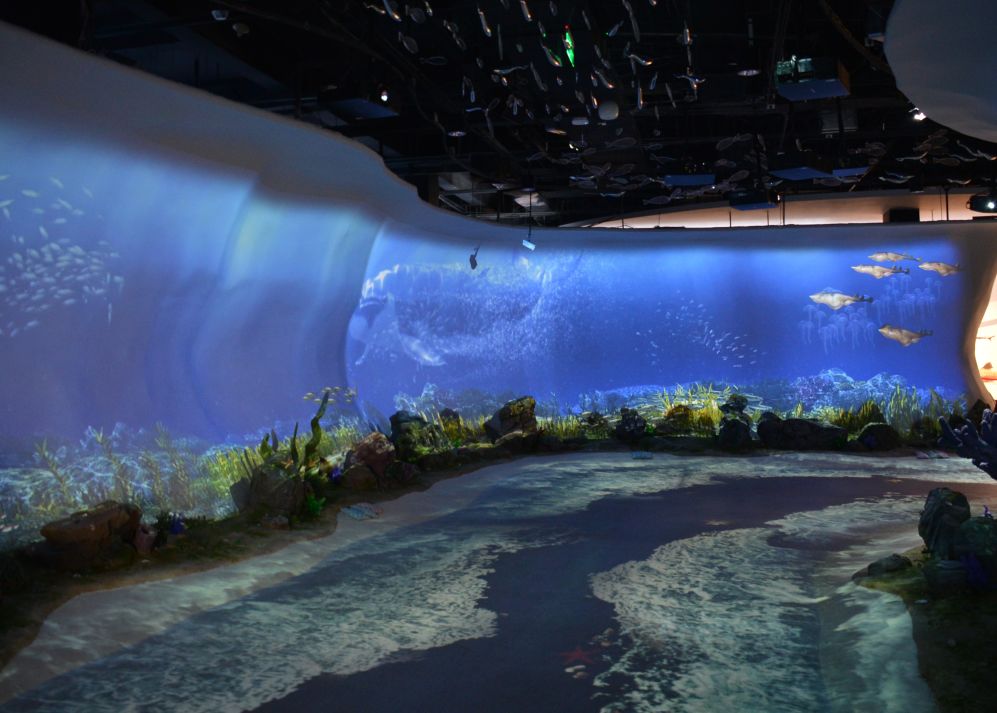 37.5度表白圣地情暖威海,冬游威海表白季