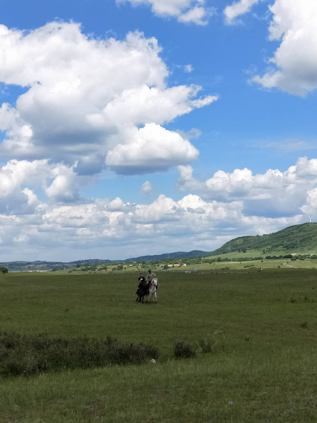 宅家又如何?翻开相册!浙大学子带你进行回忆式线上旅游!