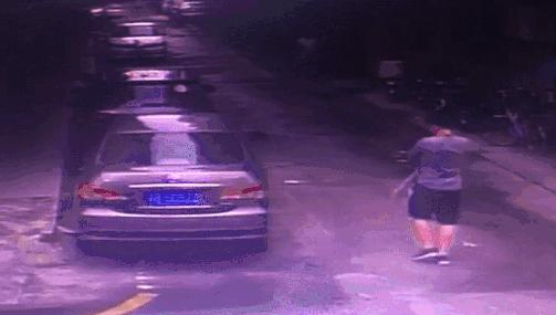 广东深圳高空坠狗事件,警方通报男子高空摔死狗