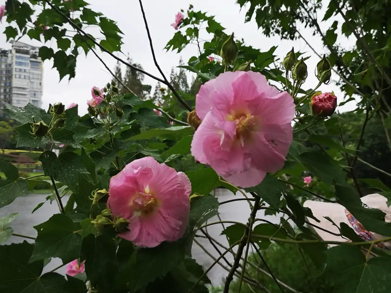 孩子需要什么样的父母亲?