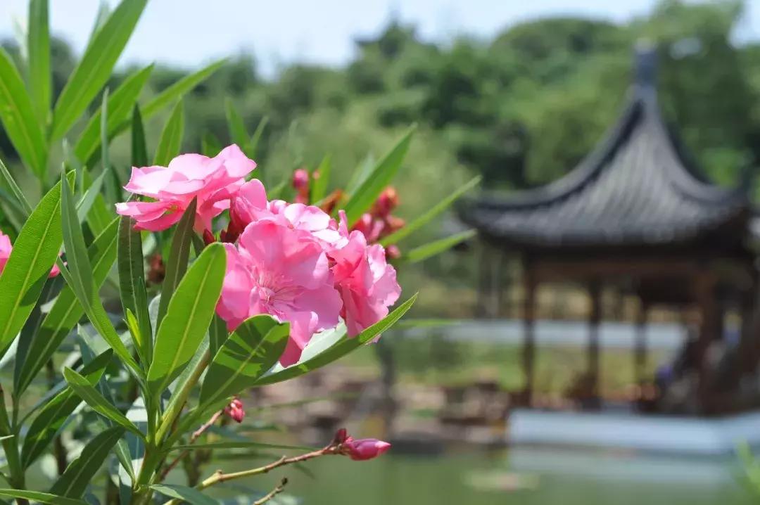 苏州有几个科技城,苏州一个充满无限可能的城市