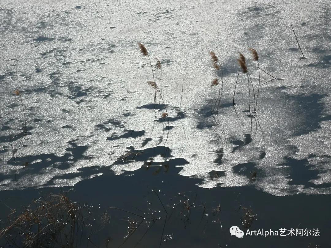 贾廷峰作品,贾廷峰水墨作品