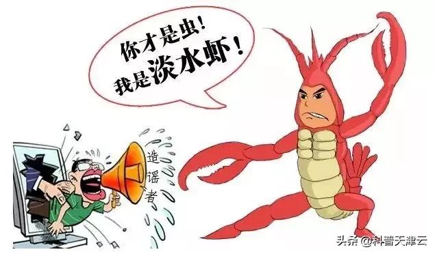 吃小龙虾时为啥要戴手套,吃小龙虾时手套容易进油