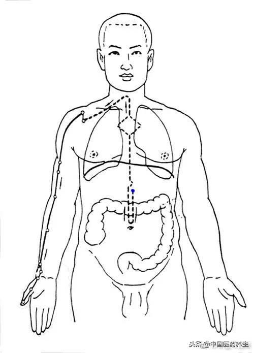 12经络对应12时辰走向图讲解,人体12经络走向位置图详解