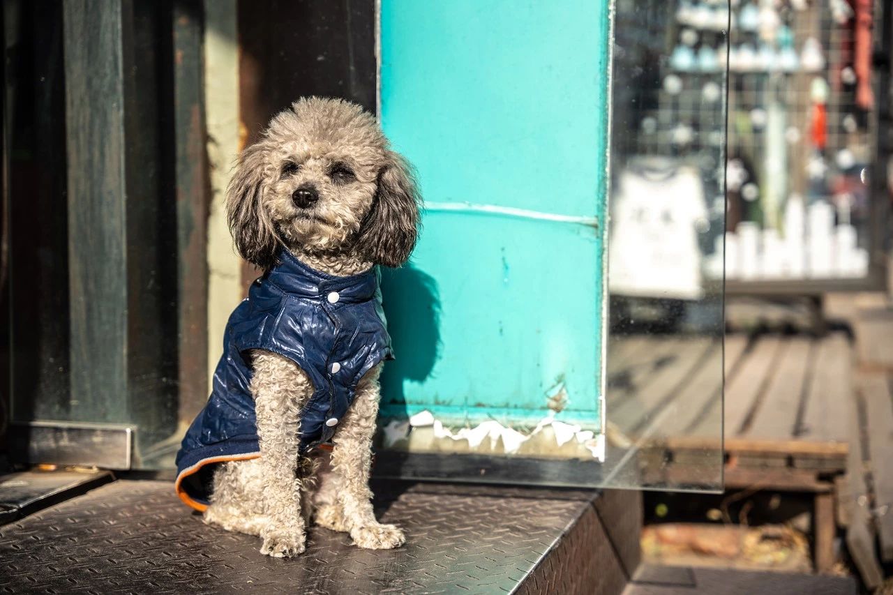 适马24-702.8一代评测,适马24-70f2.8dhsm测评