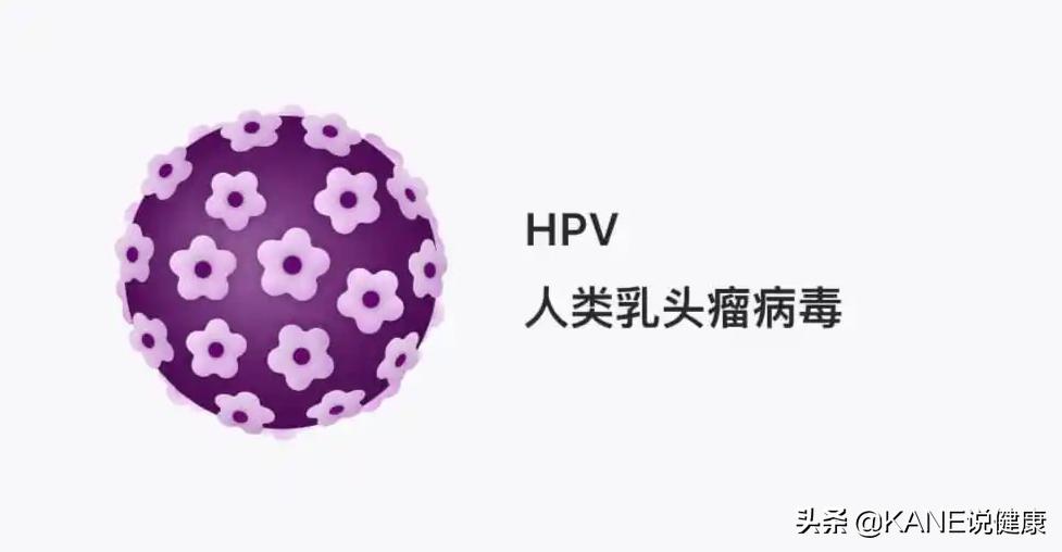 宫颈癌治疗能消灭hpv病毒吗,宫颈癌筛查hpv阳性怎么提高免疫力