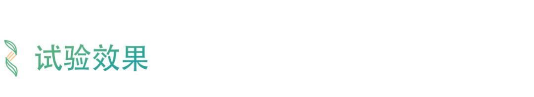 最新款射频美容仪,最好用的家用射频美容仪器