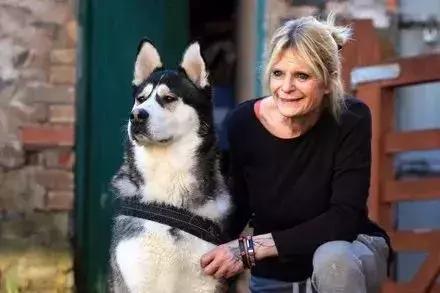 哈士奇拯救小镇,哈士奇拯救了一个村的人