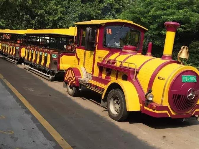 一日长隆野生动物园旅游攻略,暑假去长隆野生动物园自由行攻略