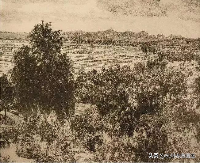 门采尔素描作品的尺寸,门采尔素描高清大图