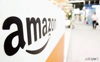 会员系统升级增加功能,会员特权里系统升级