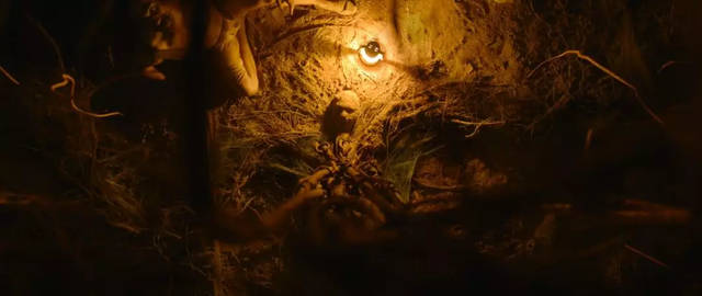 塔巴德片段,塔巴德恐怖电影