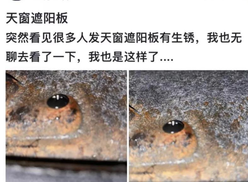 广汽传祺影豹有安全隐患吗,广汽传祺影豹天幕生锈漏水